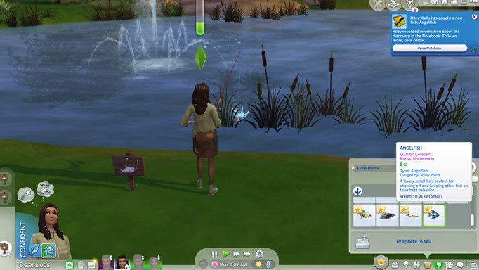 Catching an Angelfish in The Sims 4